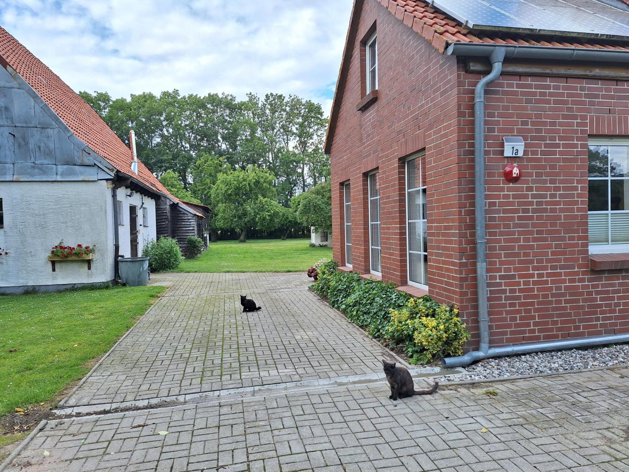 Das Apfelhaus Rappin Zewnętrze zdjęcie